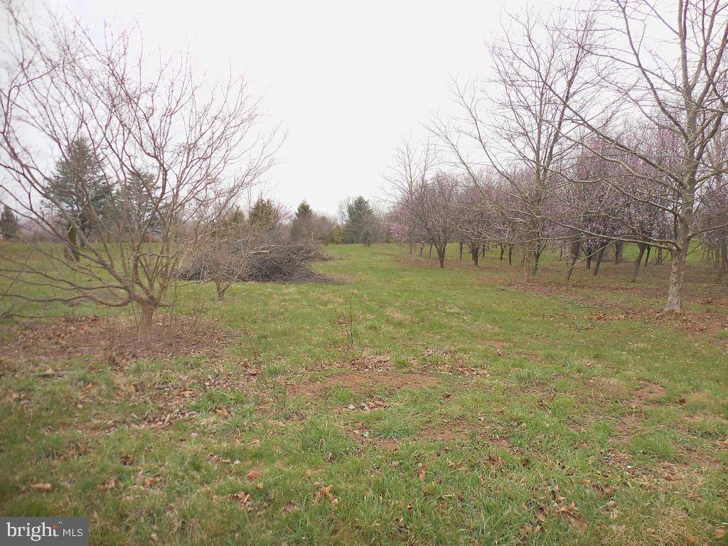 Jonestown, PA 17038,LOT 5 JONESTOWN RD