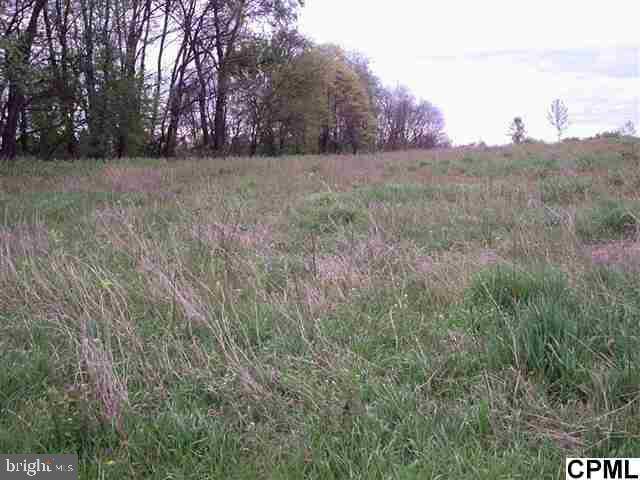 Dillsburg, PA 17019,Lot #6 SPRING DRIVE RD