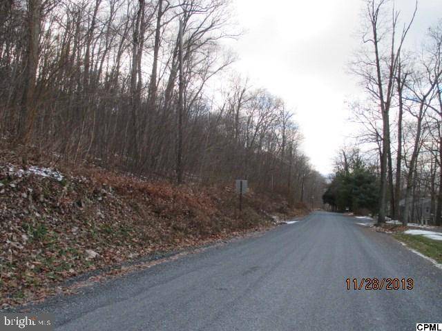 Millersburg, PA 17061,0 BERRY MOUNTAIN RD