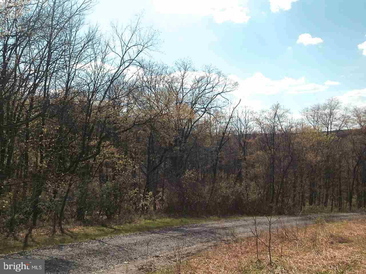 Newport, PA 17074,LOT 3 CREEK RD