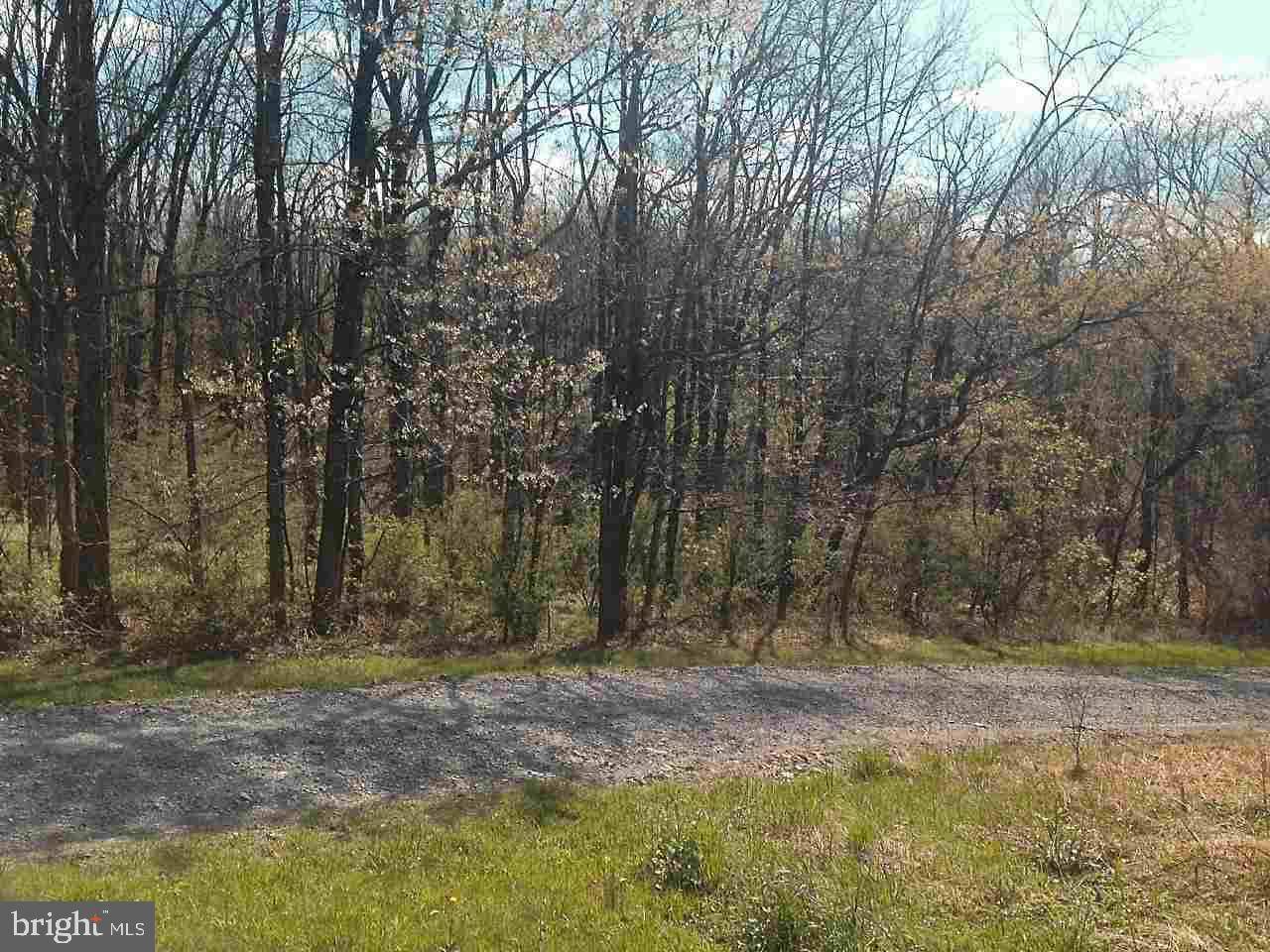 Newport, PA 17074,LOT 3 CREEK RD