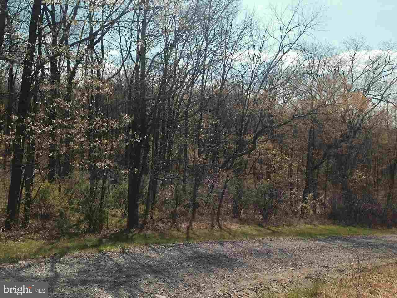 Newport, PA 17074,LOT 2 CREEK RD