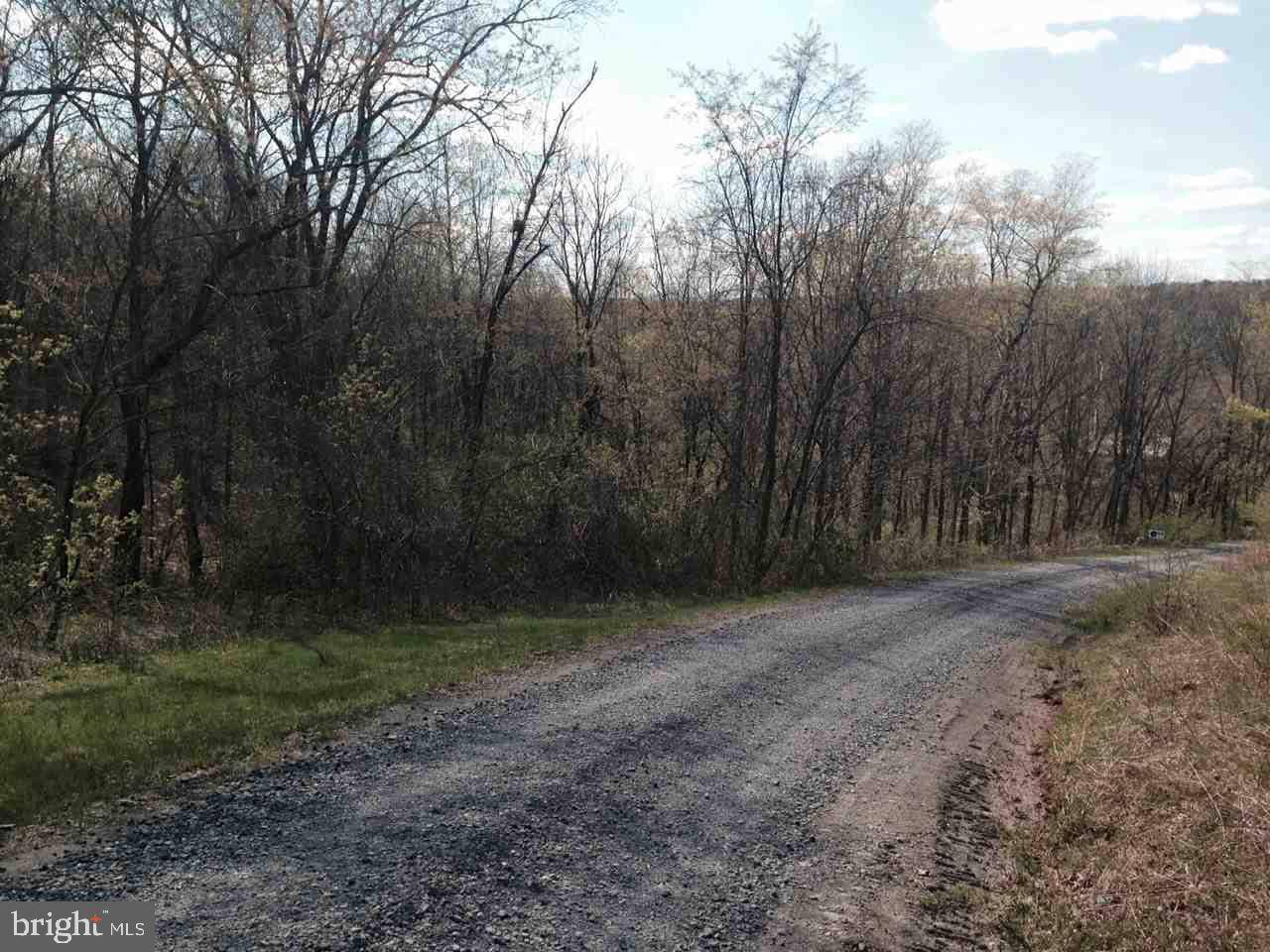 Newport, PA 17074,LOT 2 CREEK RD