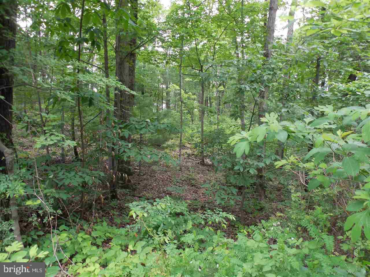 Liverpool, PA 17045,Lot 12-A HILLTOP RD