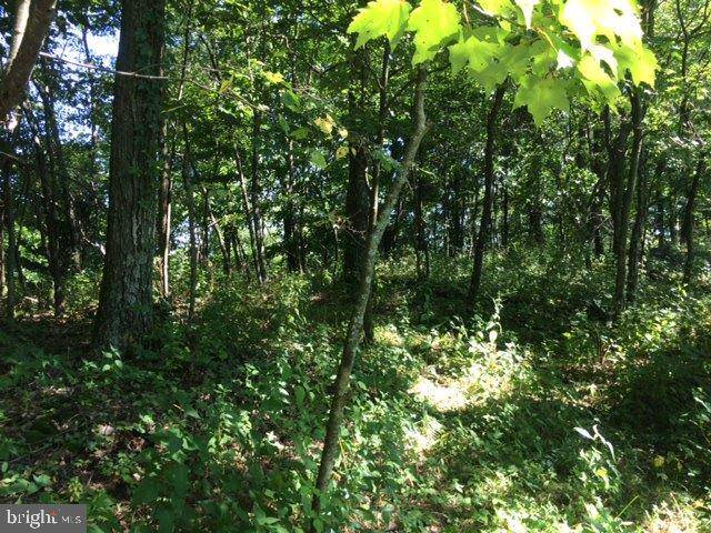 Huntingdon, PA 16652,Lot 8 TROUGH CREEK ACRES