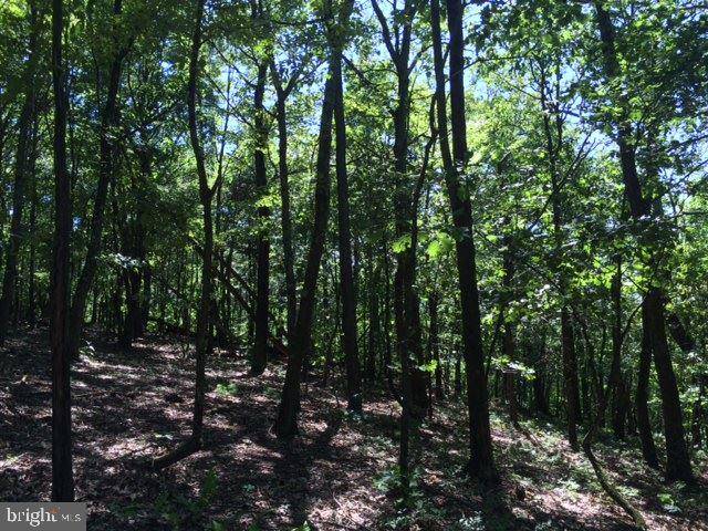 Huntingdon, PA 16652,Lot 8 TROUGH CREEK ACRES