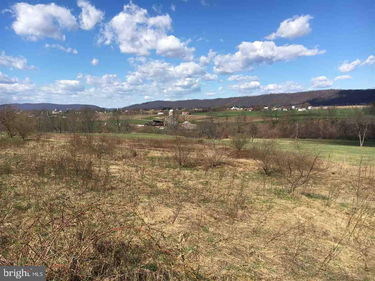 Millersburg, PA 17061,LOT 5 3RD ST