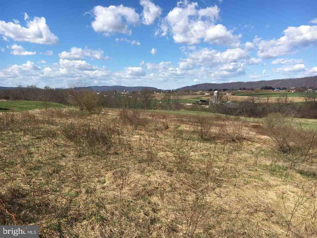 Millersburg, PA 17061,LOT 5 3RD ST