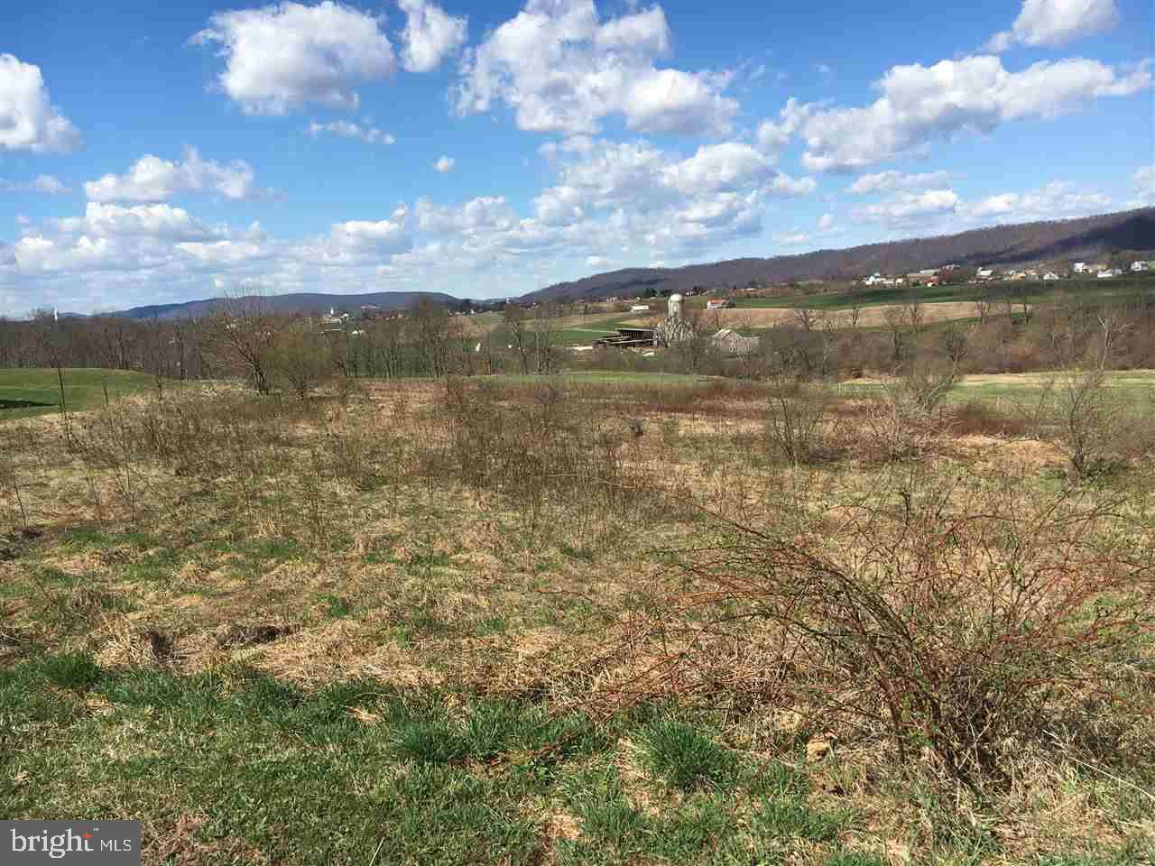 Millersburg, PA 17061,LOT 5 3RD ST