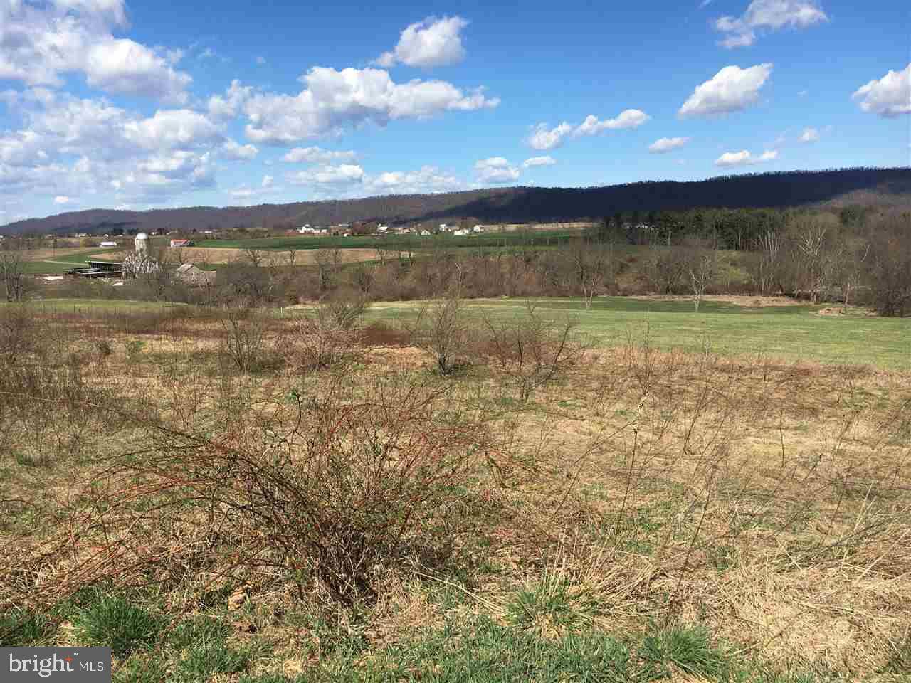 Millersburg, PA 17061,LOT 5 3RD ST