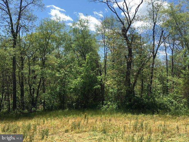 Shermans Dale, PA 17090,LOT 1B CREEK RD