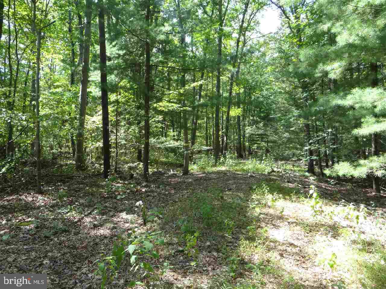 Newville, PA 17241,LOT BEETEM HOLLOW RD