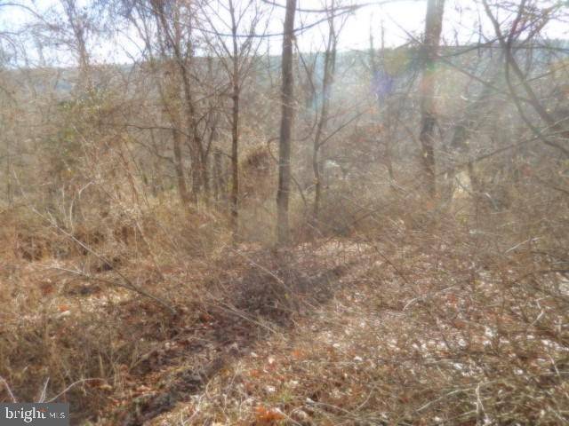 Duncannon, PA 17020,Lot 4B ST JOHN'S RD