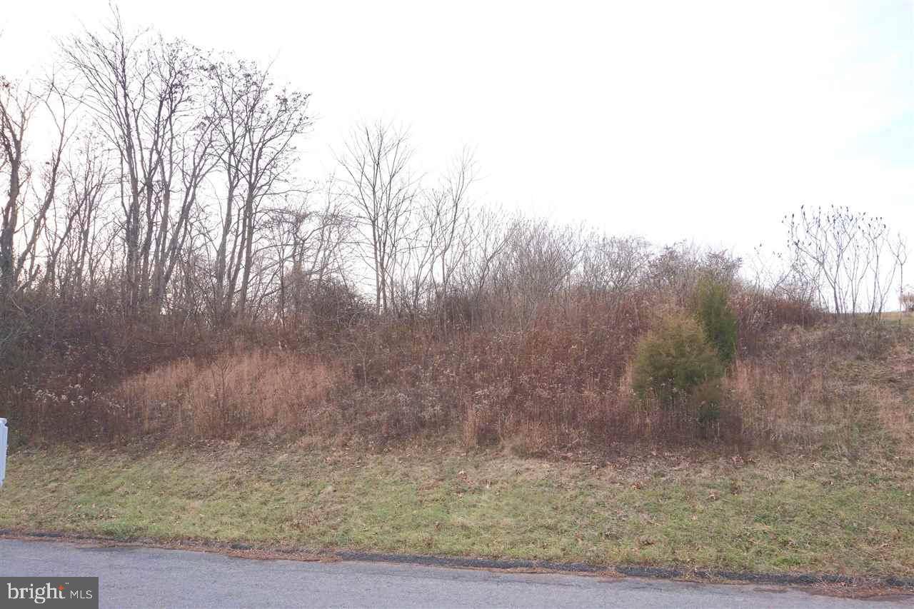 Millersburg, PA 17061,Lot 21 CHARLES RD