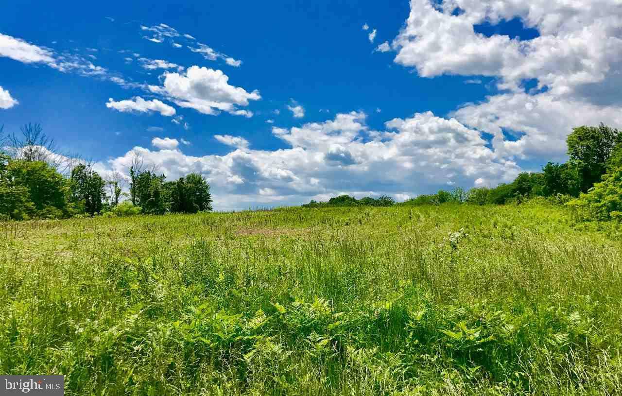 Mcalisterville, PA 17049,00 VANORMER RD LOT #1