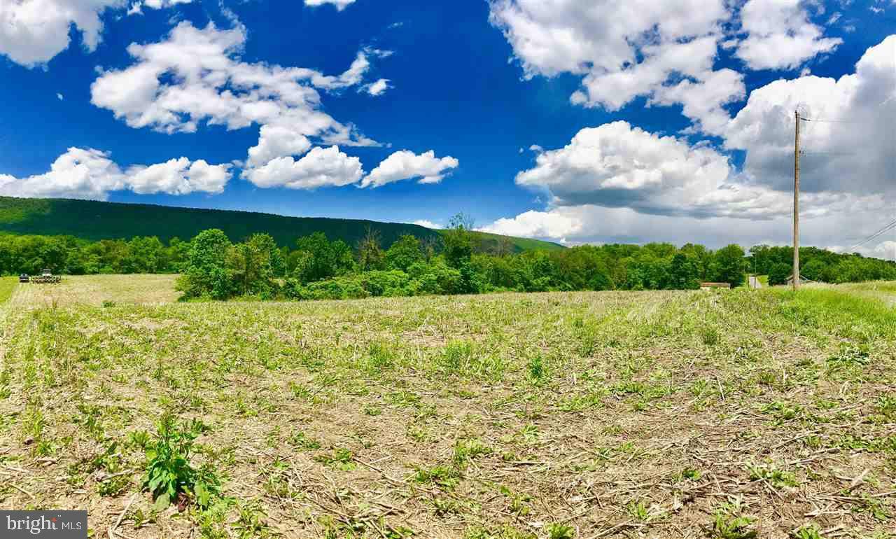 Mcalisterville, PA 17049,00 VANORMER RD LOT #1