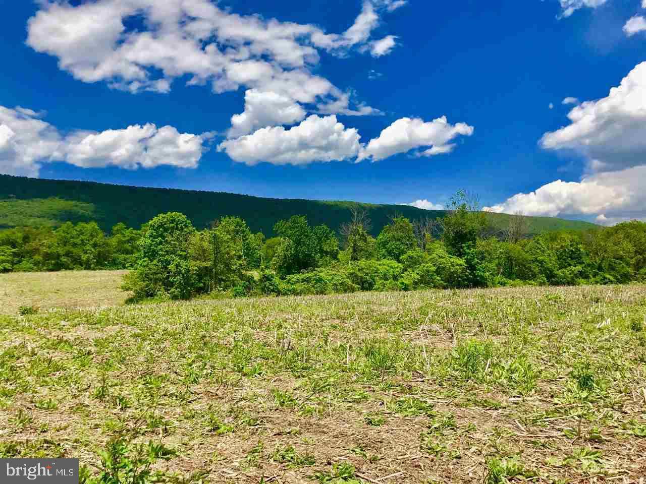 Mcalisterville, PA 17049,00 VANORMER RD LOT #1