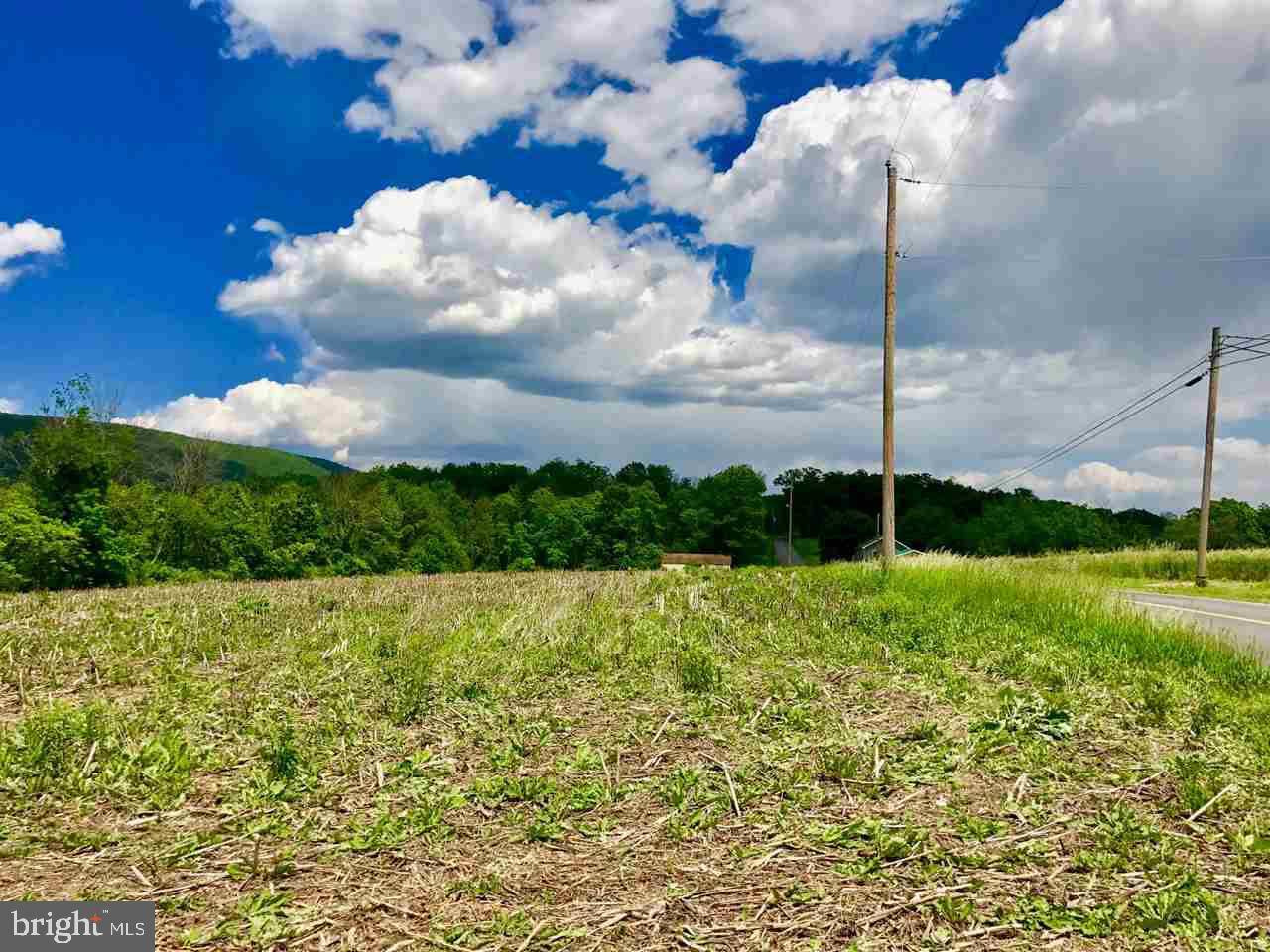 Mcalisterville, PA 17049,00 VANORMER RD LOT #1