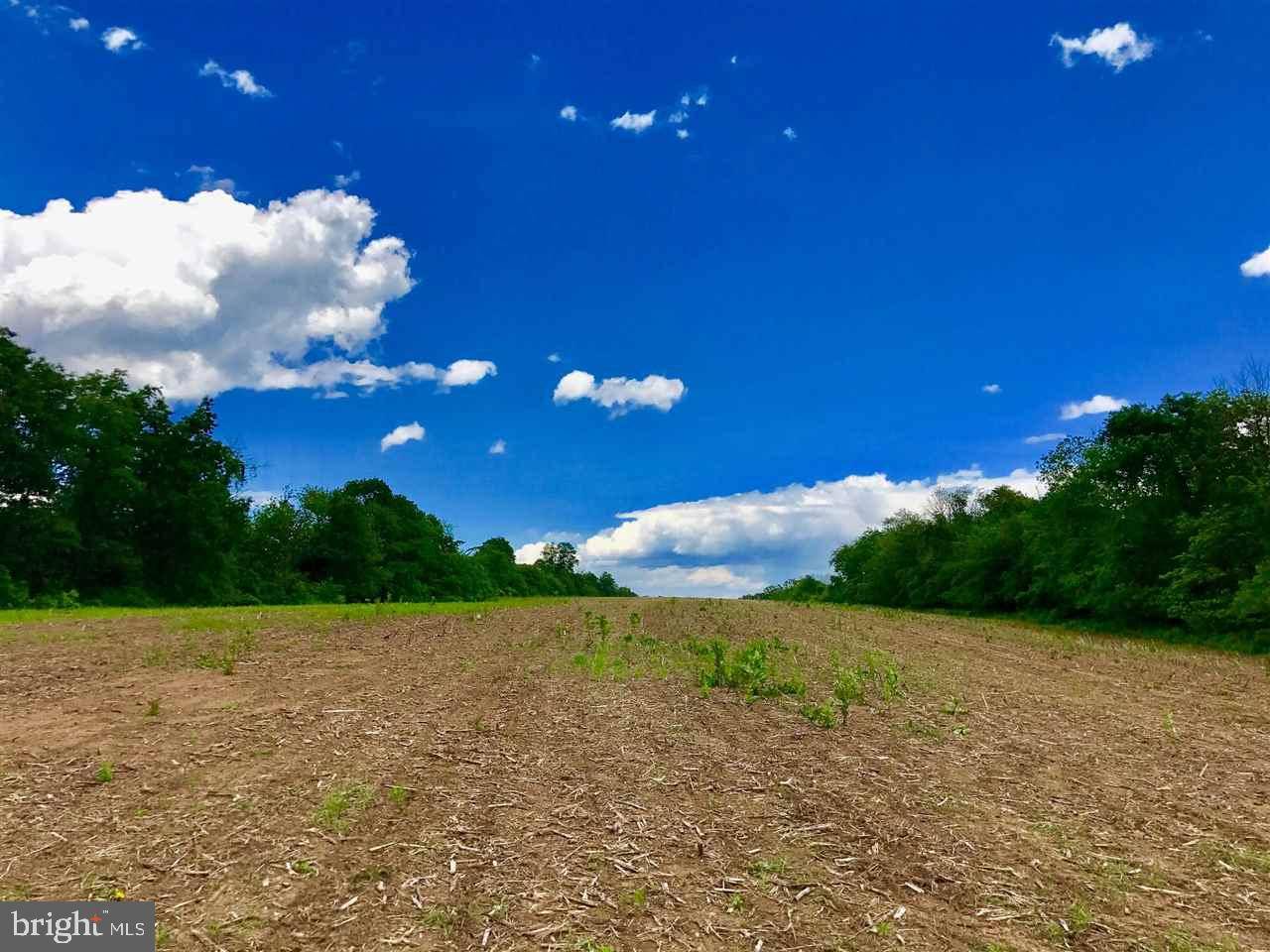 Mcalisterville, PA 17049,00 VANORMER RD LOT #2