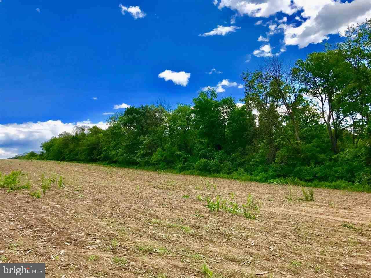 Mcalisterville, PA 17049,00 VANORMER RD LOT #2