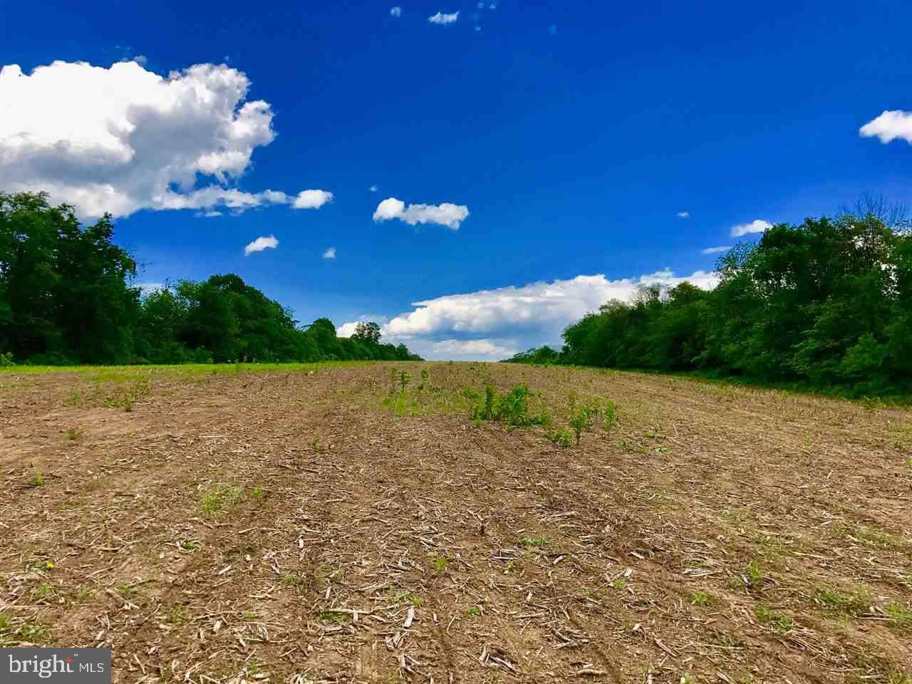 Mcalisterville, PA 17049,00 VANORMER RD LOT #2