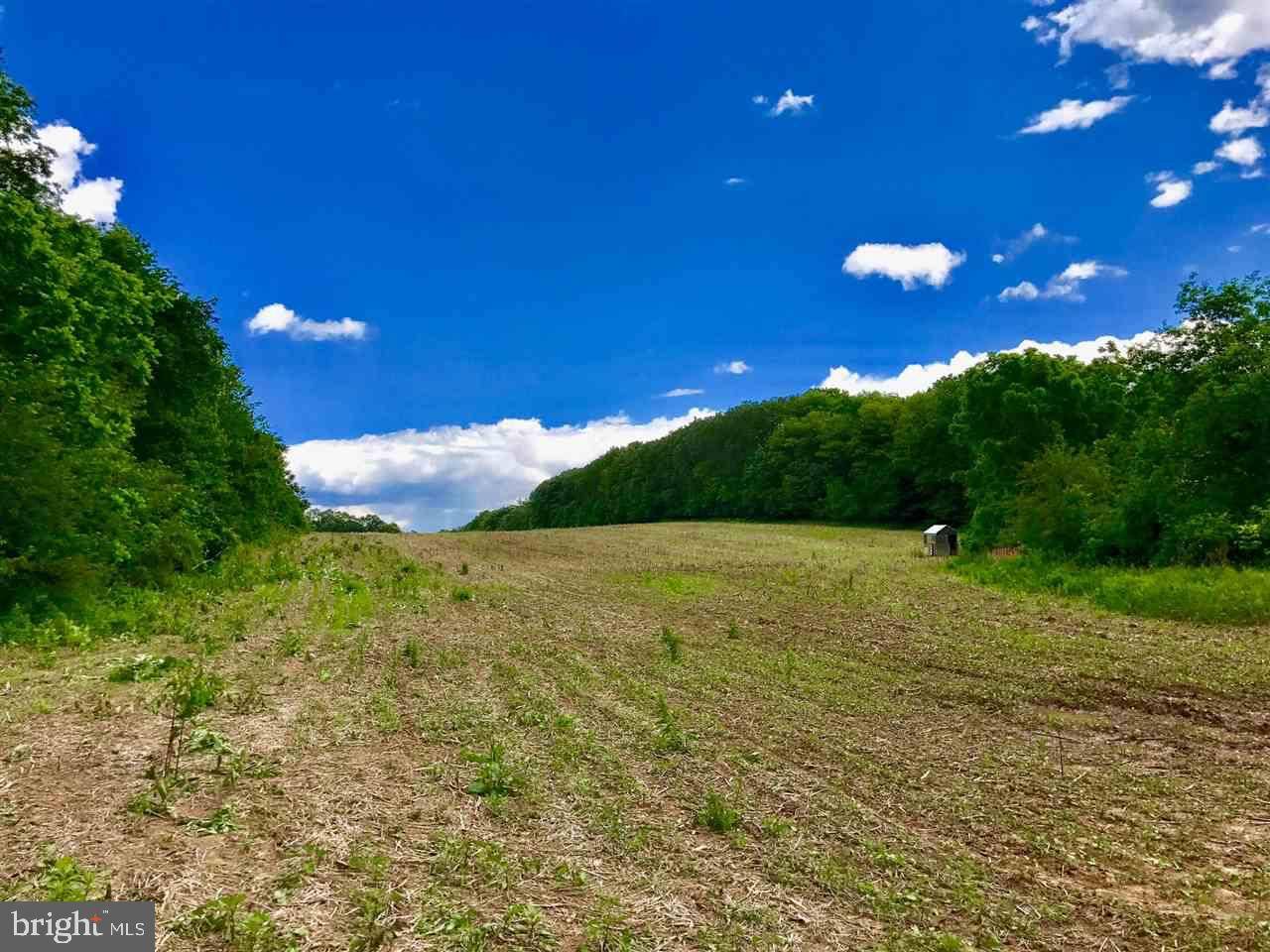 Mcalisterville, PA 17049,00 VANORMER RD LOT #3