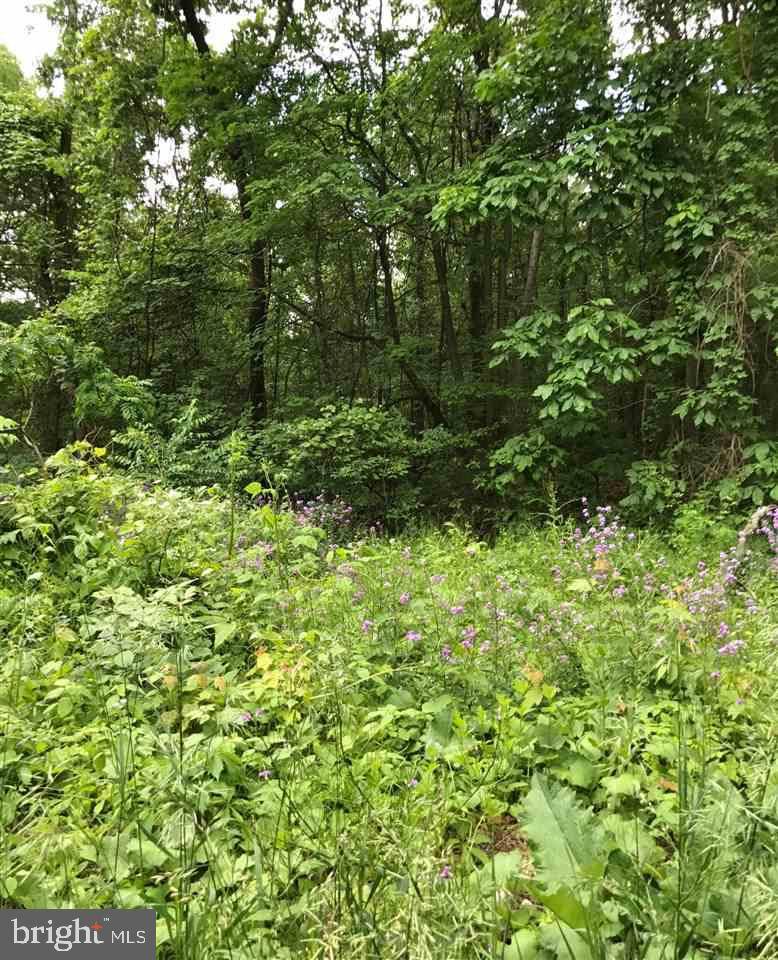 Mcalisterville, PA 17049,00 VANORMER RD LOT #3