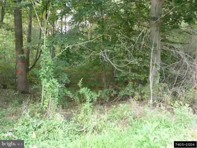 Port Royal, PA 17082,LOT 1 ROUTE 333