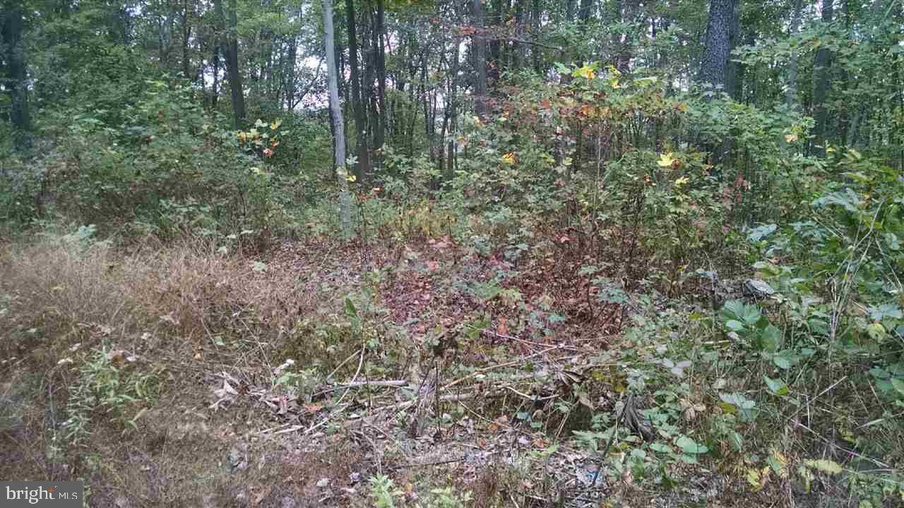 Delta, PA 17314,QUARRY RD LOT #4