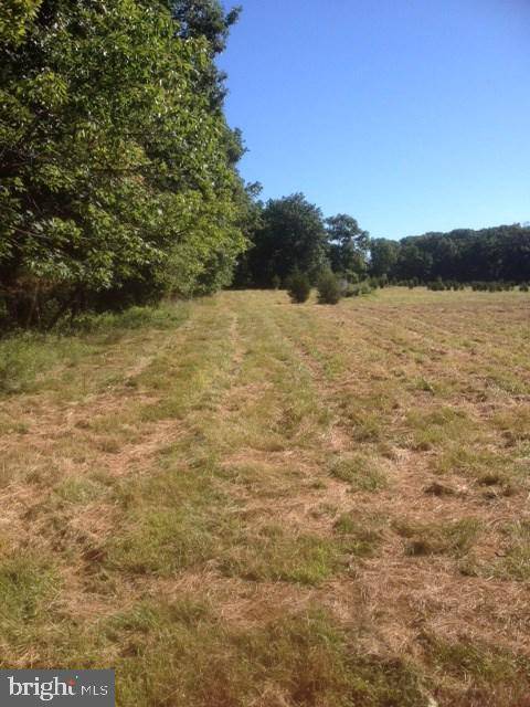 Wellsville, PA 17019,LOT 9 W CAMPING AREA RD #9