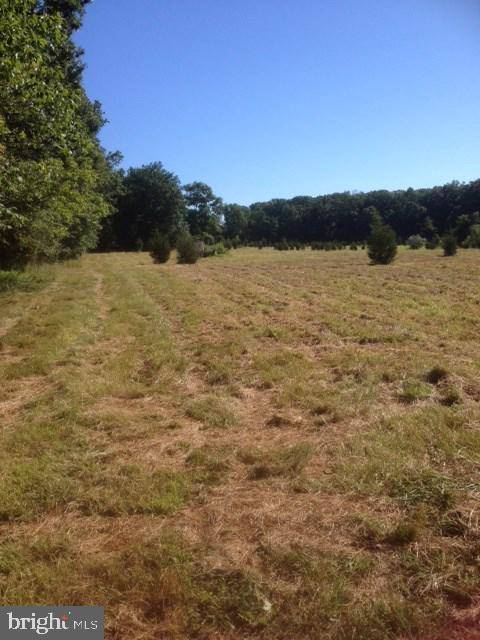 Wellsville, PA 17019,LOT 9 W CAMPING AREA RD #9