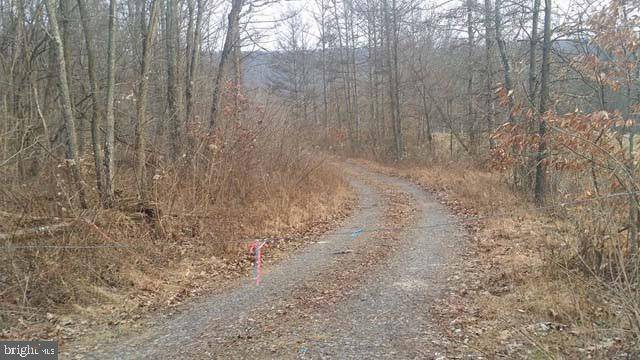 Mcclure, PA 17841,LOT 1 BACK MAITLAND RD