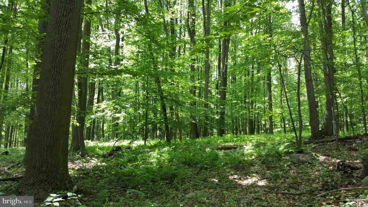 Lebanon, PA 17042,LOT #303 ASH LN