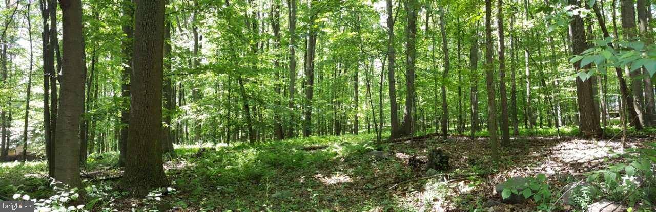 Lebanon, PA 17042,LOT #303 ASH LN