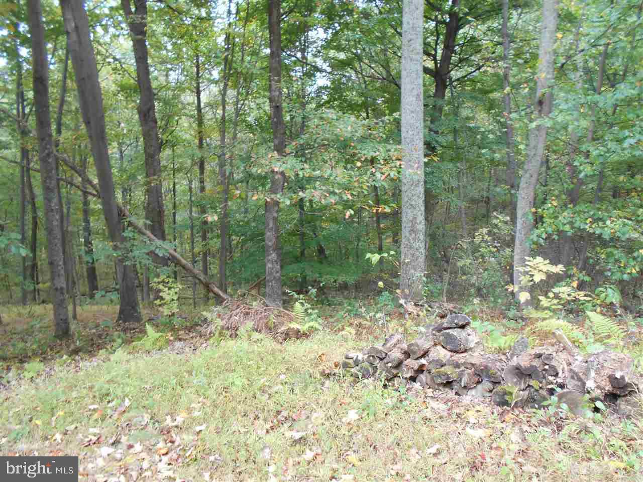 Springfield Twp, PA 17243,0 RUGER RD #LOT 1