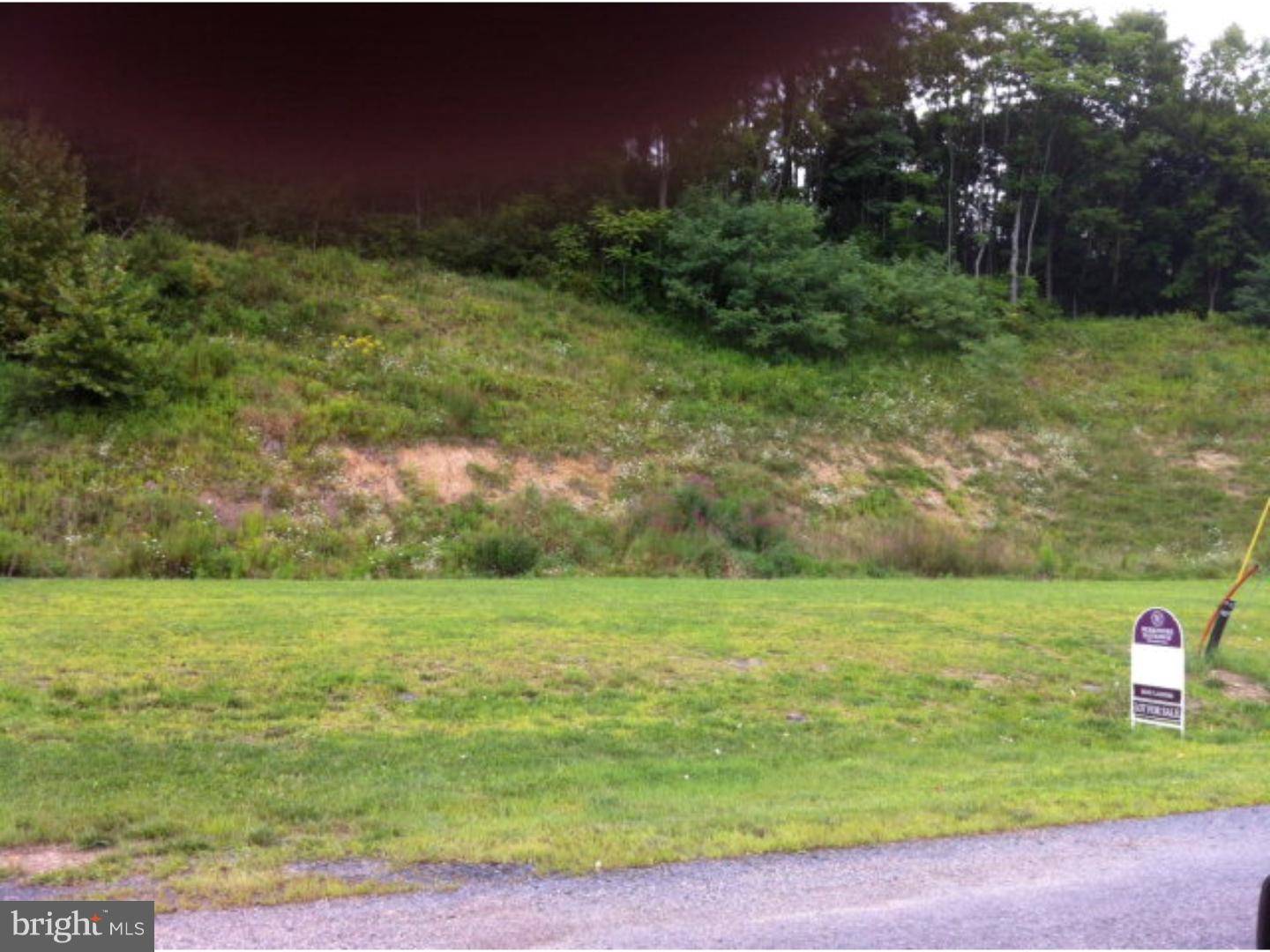 Schuylkill Haven, PA 17972,LOT 11 E LIBERTY ST