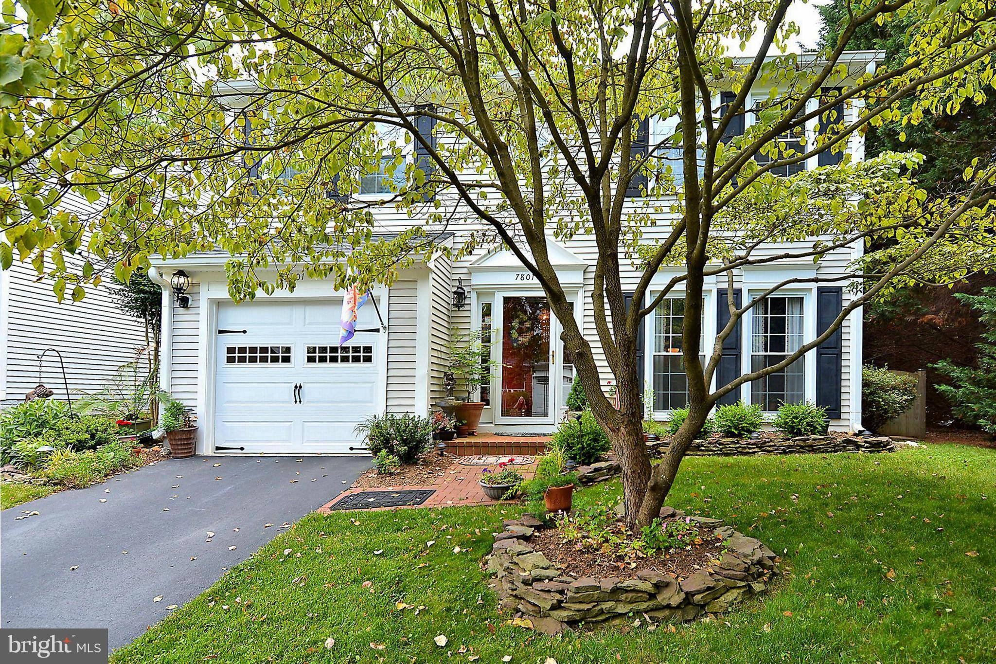 Alexandria, VA 22315,7801 BOLD LION LN