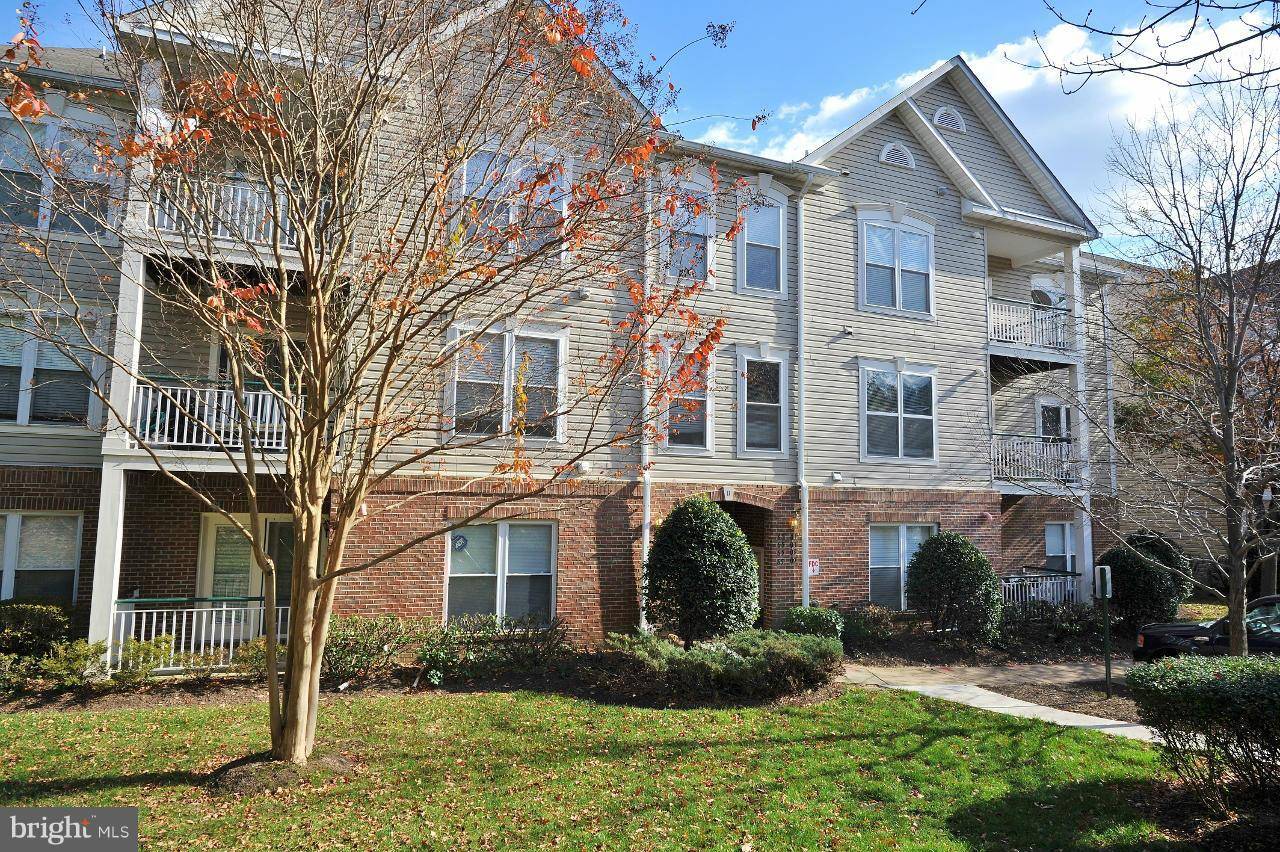 Alexandria, VA 22315,6505 GRANGE LN #203