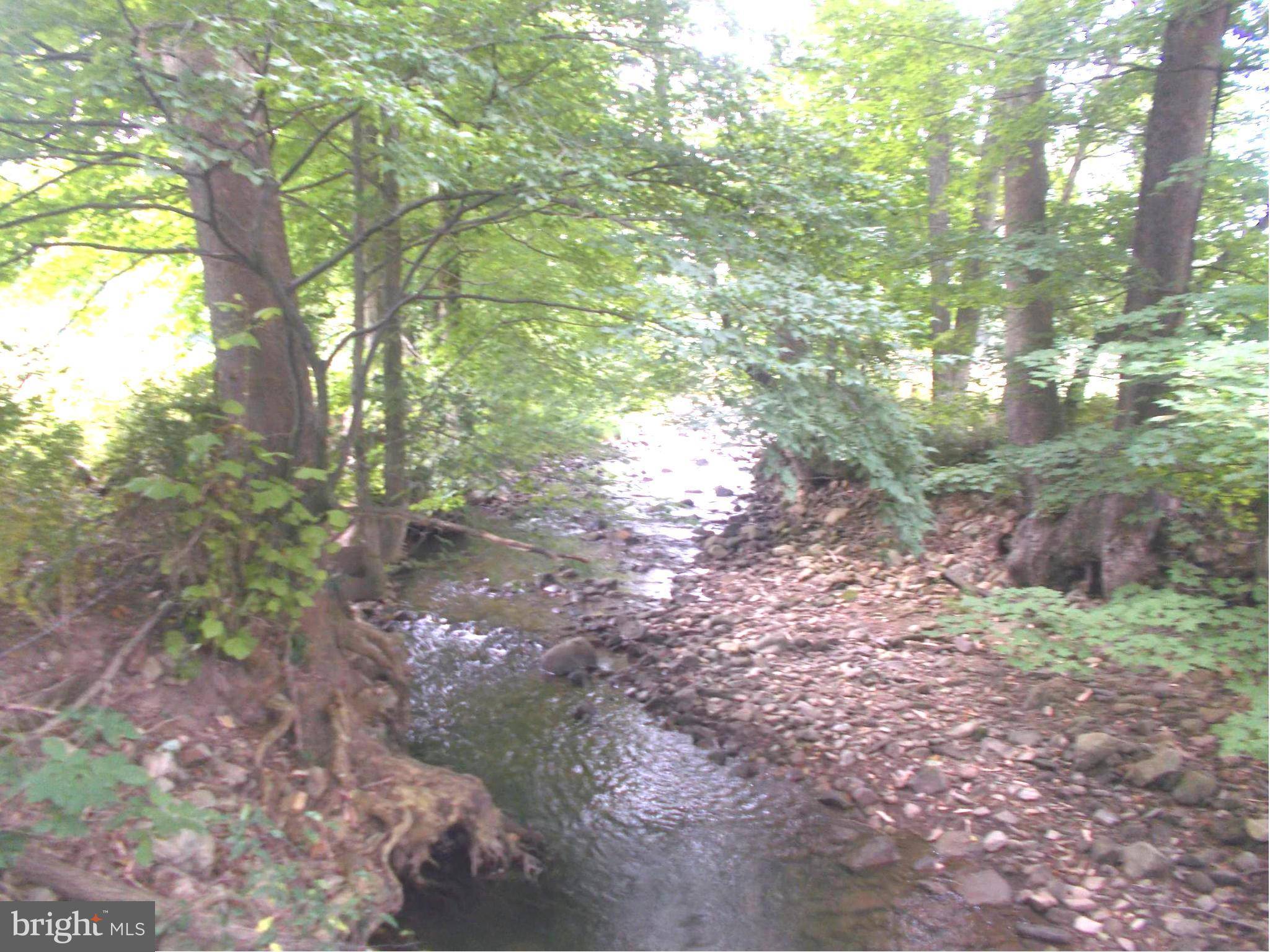 New Creek, WV 26743,LAURAL DALE ROAD