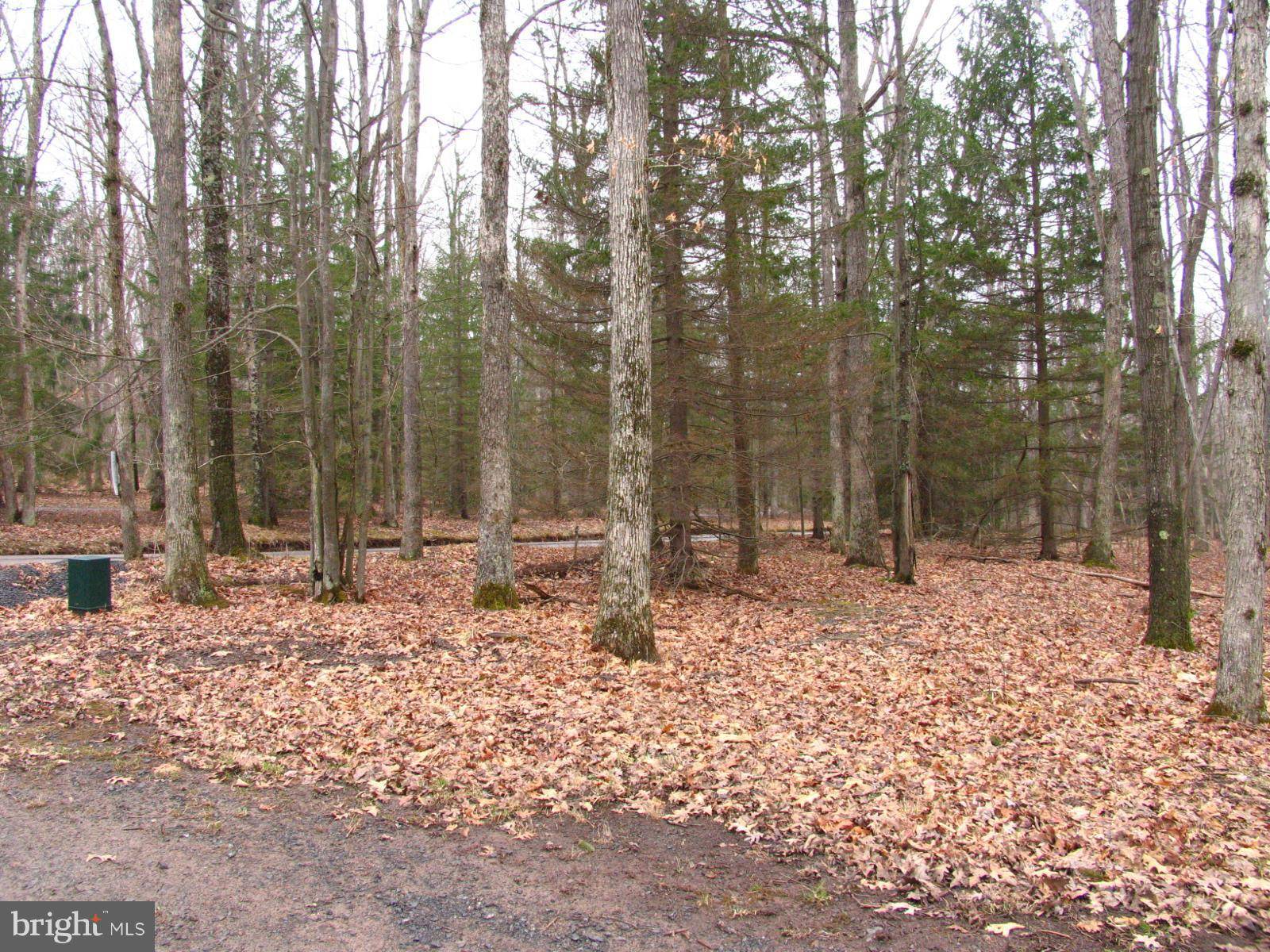 Swanton, MD 21561,-LOT 1 THOMAS CIRCLE