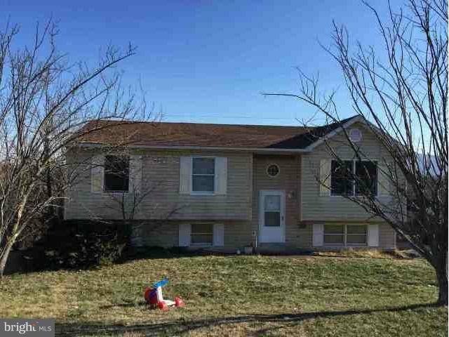 Strasburg, VA 22657,158 LITTLE SORREL DR