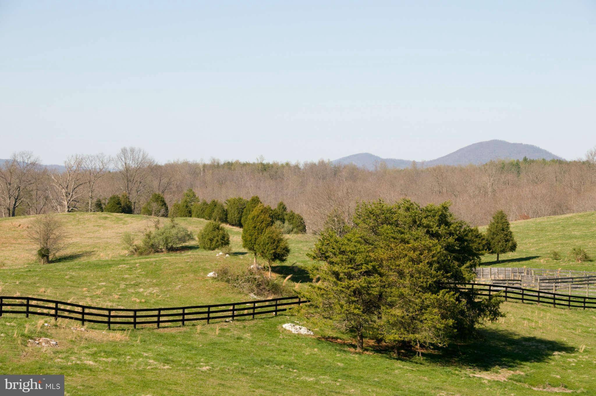 Amissville, VA 20106,40 HUNGRY RUN FARM LN