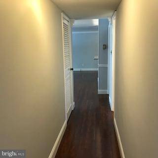 Alexandria, VA 22312,517 ARMISTEAD ST #203