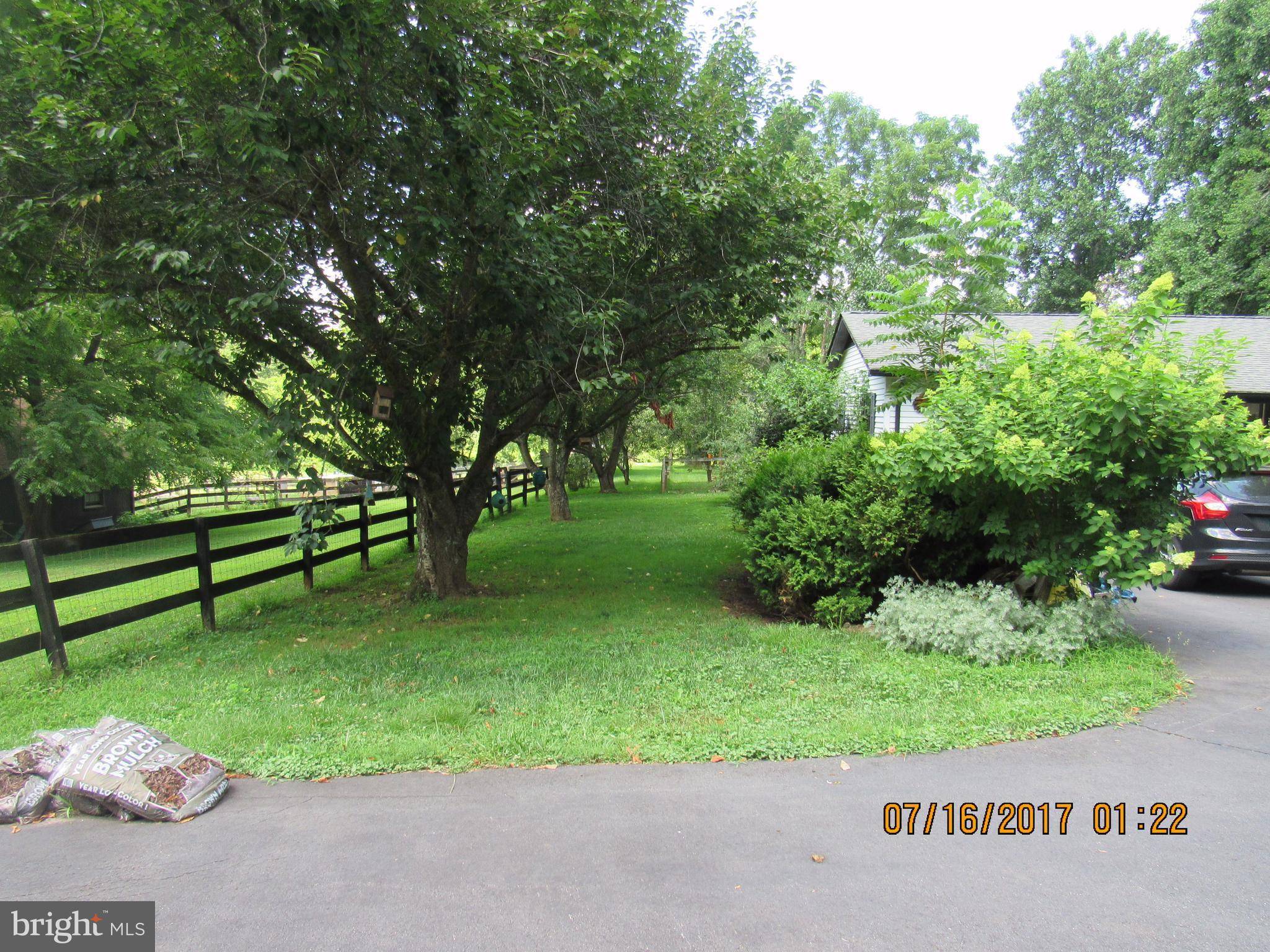 Rixeyville, VA 22737,10831 DUTCH HOLLOW RD