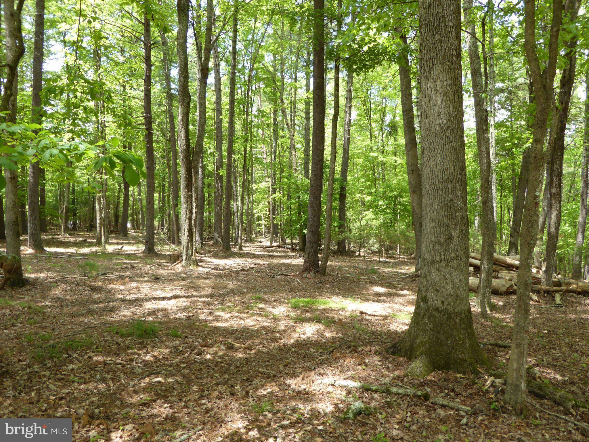 Sugar Grove, WV 26815,0 HEMLOCK FOREST LN