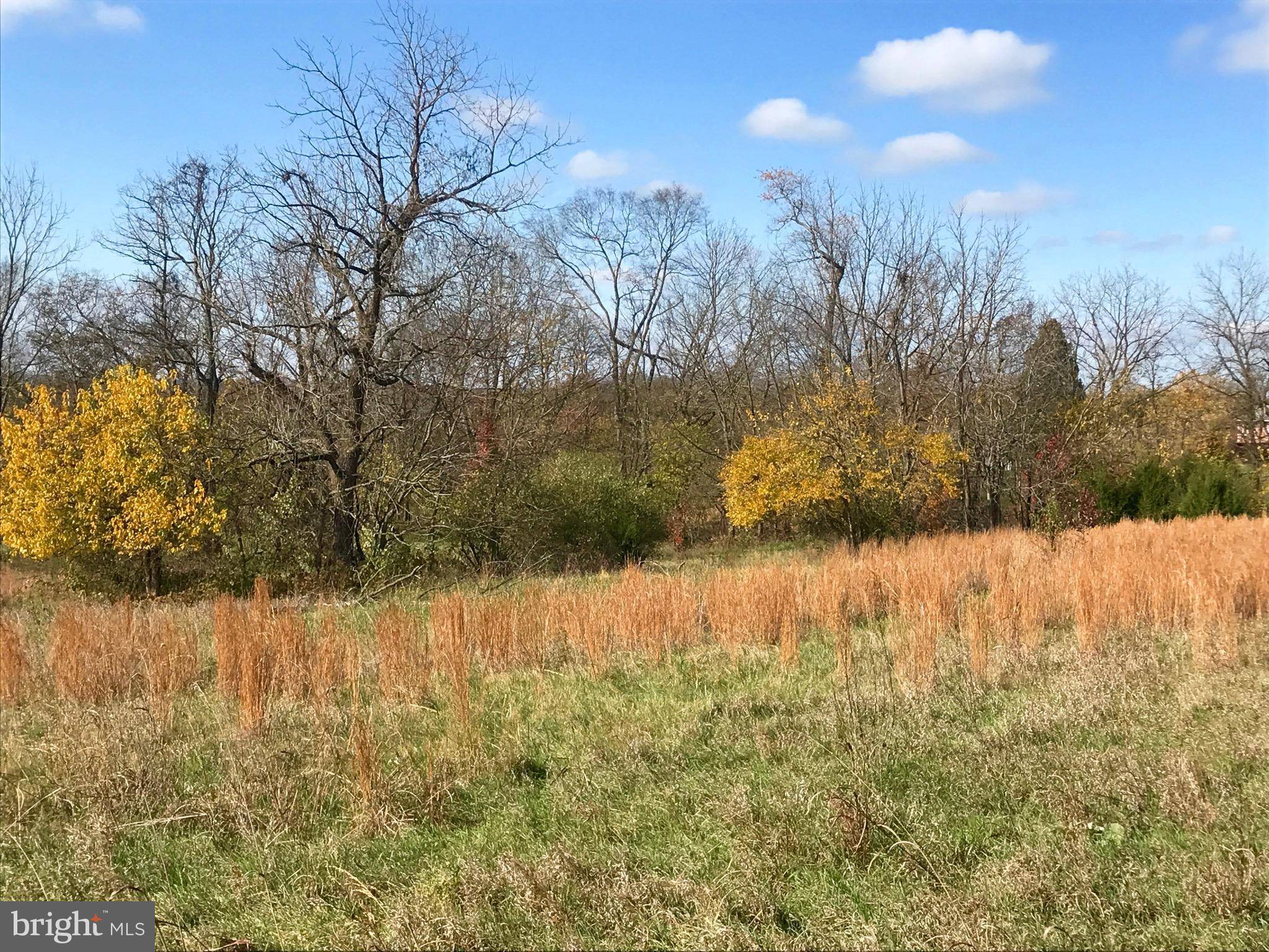 Shepherdstown, WV 25443,LOT 18 MARSH HAWK WAY