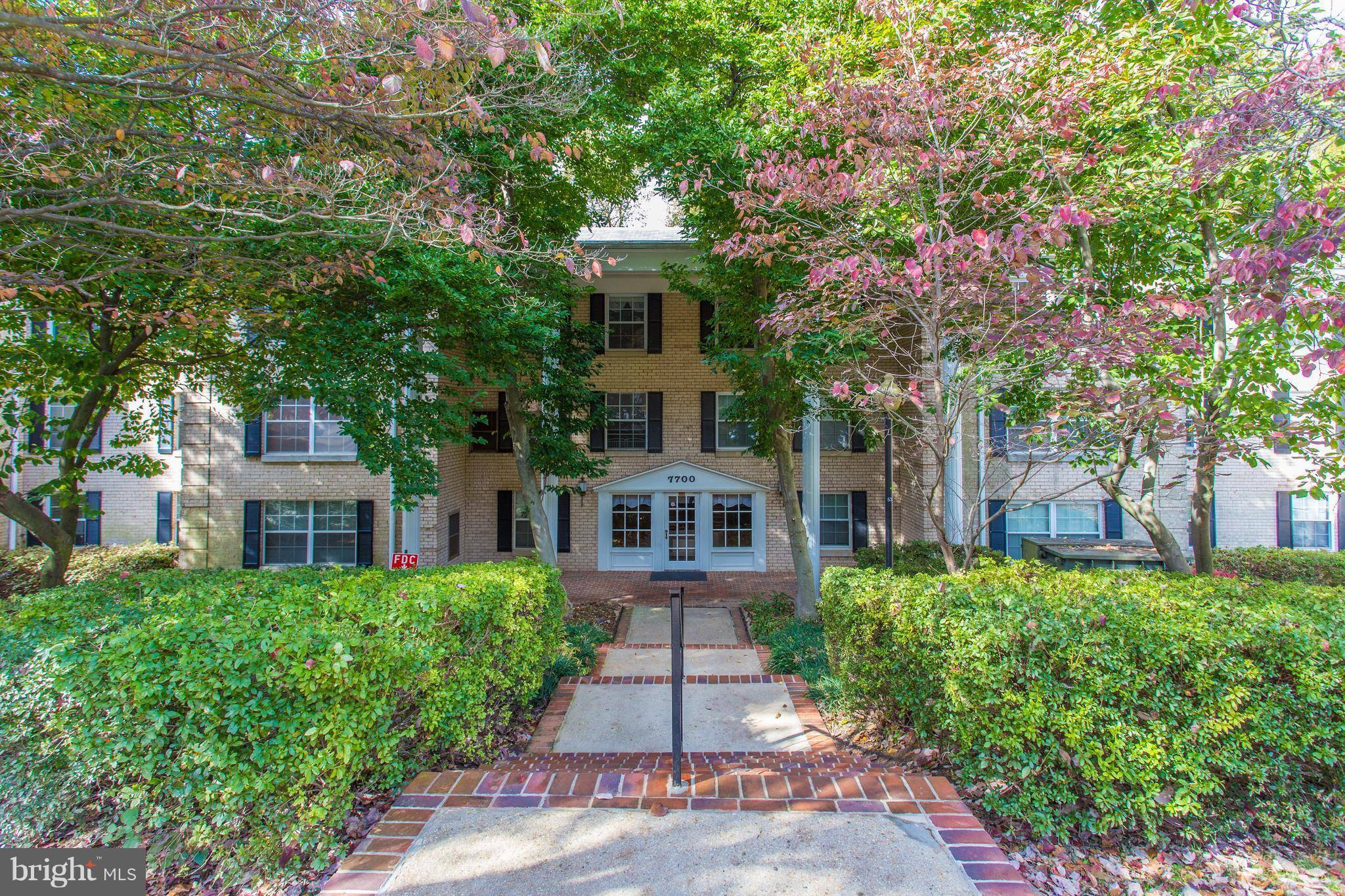 Mclean, VA 22102,7700 TREMAYNE PL #204