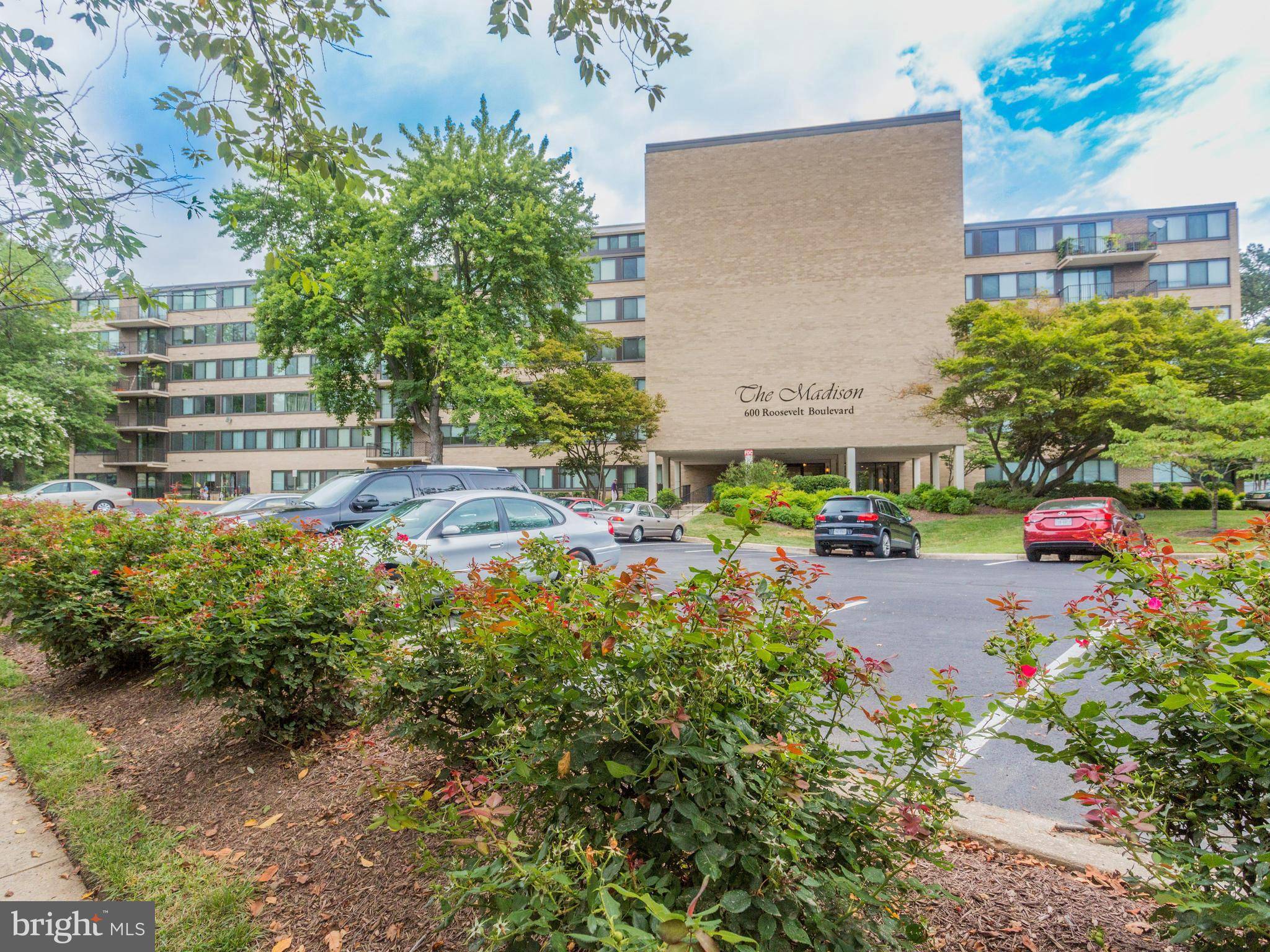 Falls Church, VA 22044,600 ROOSEVELT BLVD #504