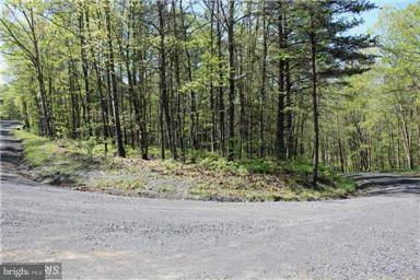 Basye, VA 22810,0 WHIPPORWILL RD