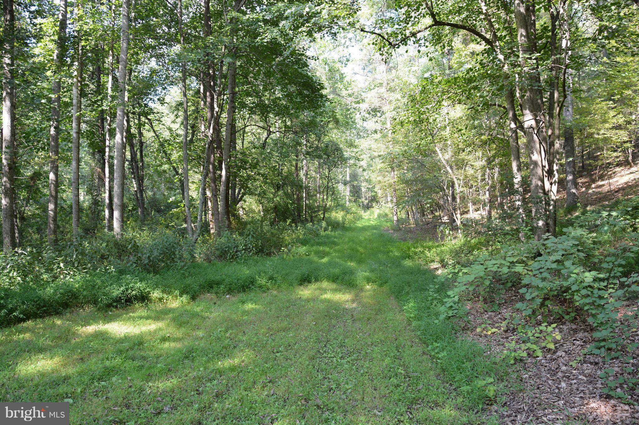 Capon Bridge, WV 26711,-LOT 40 WARSAW DR